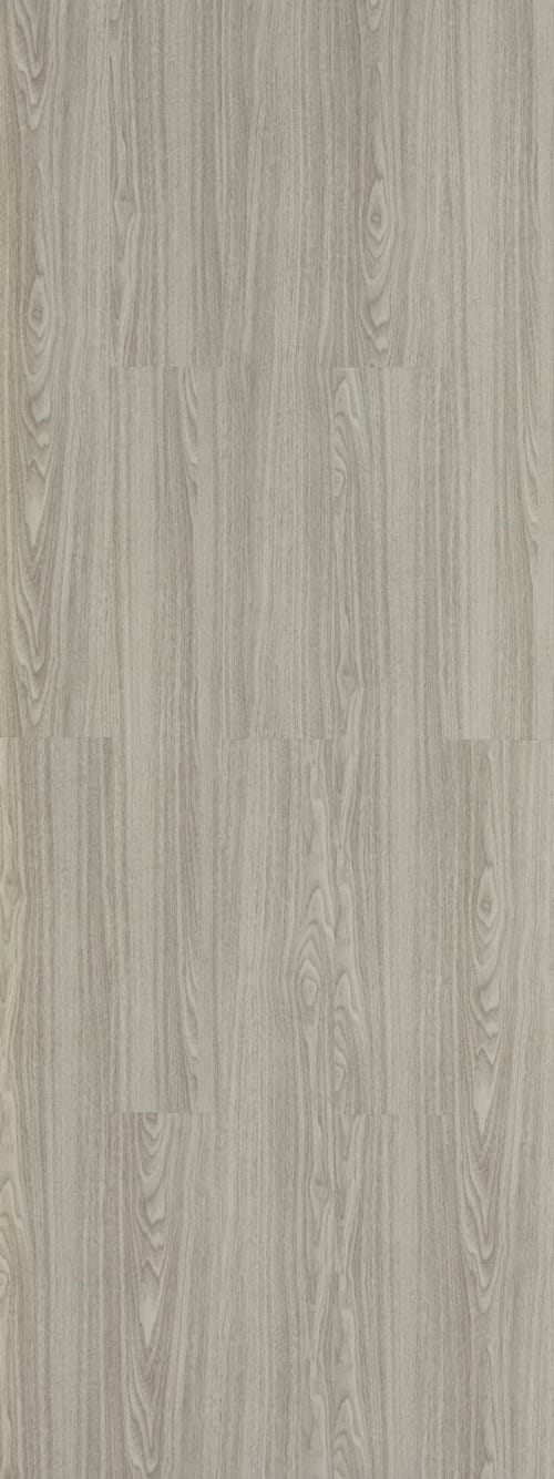 Basic Silence Grey